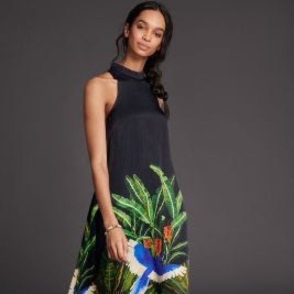 Anthropologie Dresses & Skirts - NWT Anthropologie Farm Rio Thea Maxi Dress XS